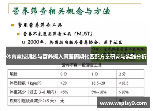 体育竞技训练与营养摄入策略周期化匹配方案研究与实践分析